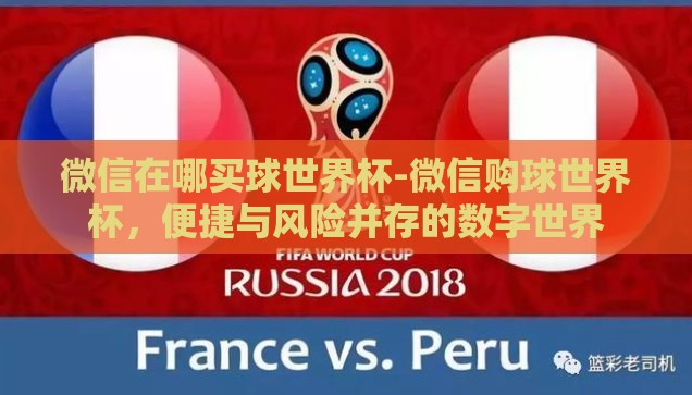 微信在哪买球世界杯-微信购球世界杯，便捷与风险并存的数字世界