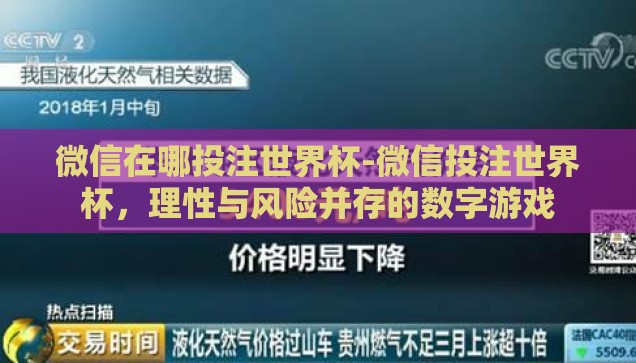 微信在哪投注世界杯-微信投注世界杯，理性与风险并存的数字游戏