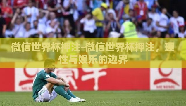 微信世界杯押注-微信世界杯押注，理性与娱乐的边界