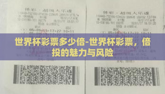 世界杯彩票多少倍-世界杯彩票，倍投的魅力与风险