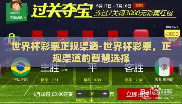 世界杯彩票正规渠道-世界杯彩票，正规渠道的智慧选择