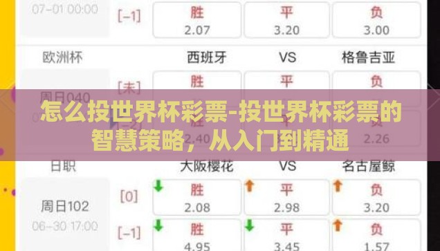 世界杯彩票正规渠道-世界杯彩票，正规渠道的智慧选择