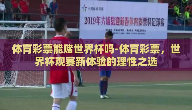 体育彩票能赌世界杯吗-体育彩票，世界杯观赛新体验的理性之选
