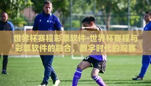 体育彩票世界杯买法-体育彩票世界杯买法，理性投注与策略分析