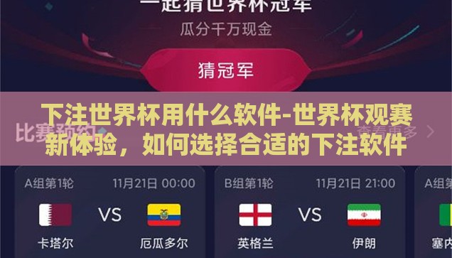 微信买世界杯的app-微信购彩新风尚，世界杯期间APP的便捷与风险