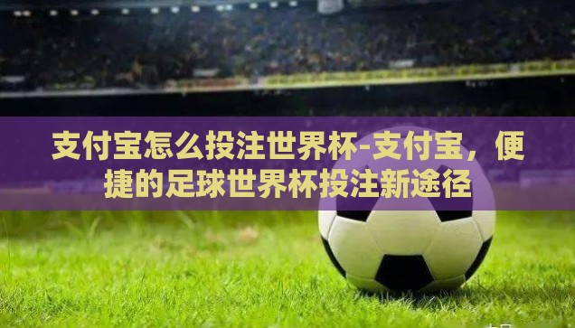 支付宝怎么投注世界杯-支付宝，便捷的足球世界杯投注新途径