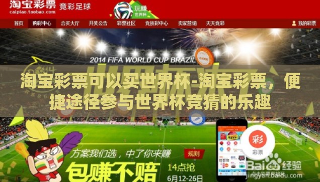 支付宝能投注世界杯么-支付宝与世界杯投注，便捷与风险并存的新体验
