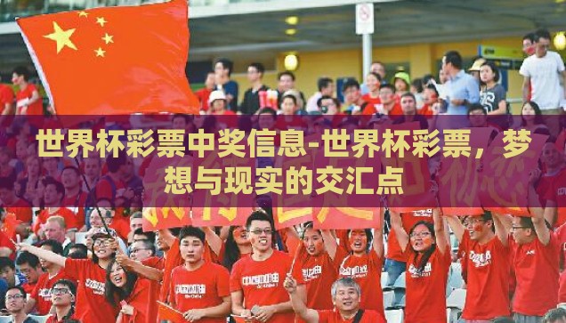 世界杯彩票中奖信息-世界杯彩票，梦想与现实的交汇点