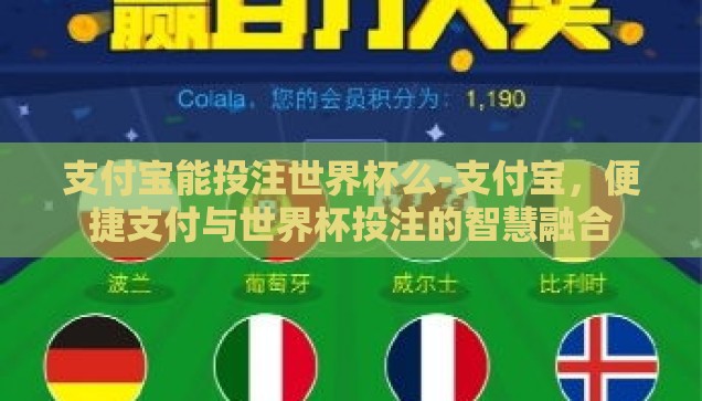 支付宝能投注世界杯么-支付宝，便捷支付与世界杯投注的智慧融合