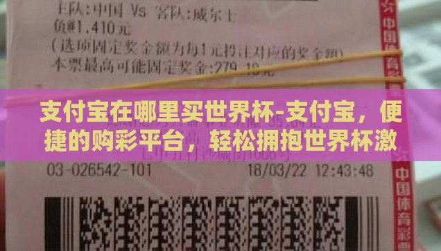 支付宝在哪里买世界杯-支付宝，便捷的购彩平台，轻松拥抱世界杯激情