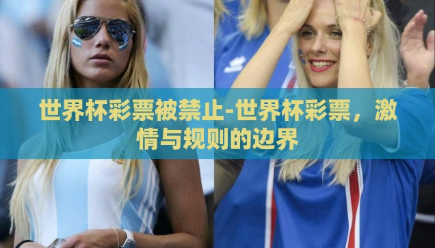 世界杯彩票被禁止-世界杯彩票，激情与规则的边界
