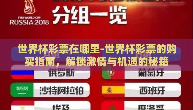 世界杯彩票在哪里-世界杯彩票的购买指南，解锁激情与机遇的秘籍