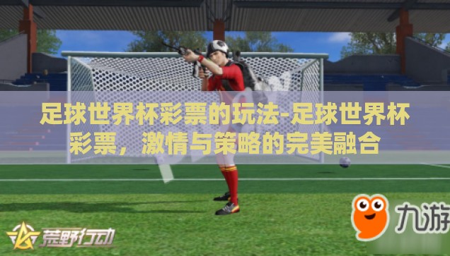 微信能买世界杯吗-微信与世界杯，数字时代的便捷购彩新体验