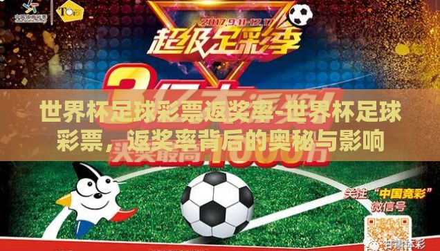 世界杯足球彩票返奖率-世界杯足球彩票，返奖率背后的奥秘与影响