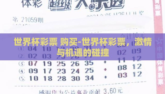 世界杯彩票 购买-世界杯彩票，激情与机遇的碰撞