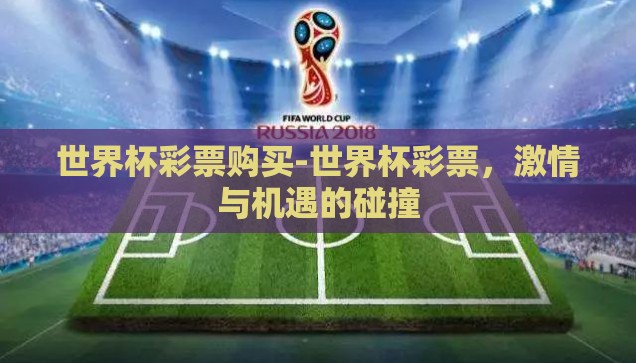 世界杯彩票购买-世界杯彩票，激情与机遇的碰撞
