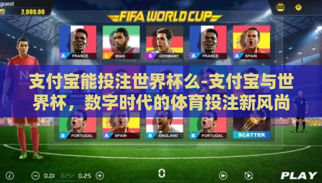 支付宝能投注世界杯么-支付宝与世界杯，数字时代的体育投注新风尚