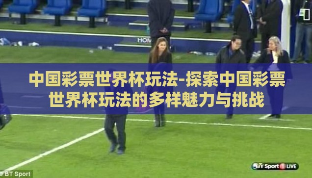 中国彩票世界杯玩法-探索中国彩票世界杯玩法的多样魅力与挑战