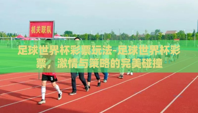 足球世界杯彩票玩法-足球世界杯彩票，激情与策略的完美碰撞