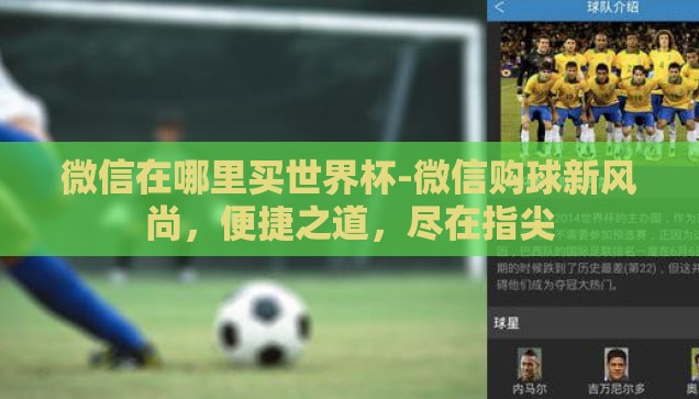 微信在哪里买世界杯-微信购球新风尚，便捷之道，尽在指尖
