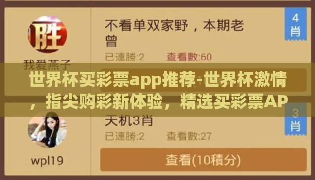 2023年世界杯彩票-2023年世界杯彩票，梦想与机遇的交汇点