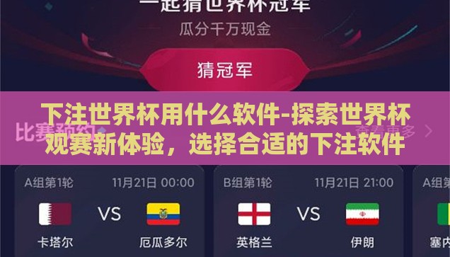 下注世界杯用什么软件-探索世界杯观赛新体验，选择合适的下注软件指南