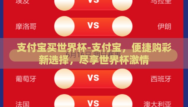 支付宝买世界杯-支付宝，便捷购彩新选择，尽享世界杯激情