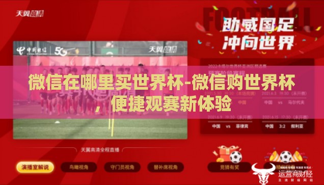 微信在哪里买世界杯-微信购世界杯，便捷观赛新体验