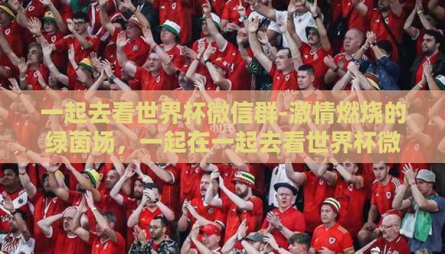 世界杯彩票哪家印制-世界杯彩票印制之选，谁家更胜一筹？