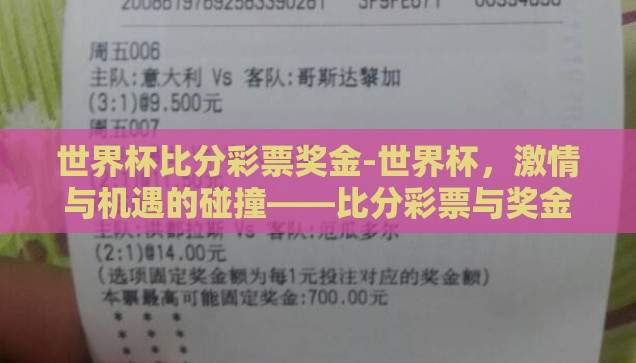 世界杯比分彩票奖金-世界杯，激情与机遇的碰撞——比分彩票与奖金的魅力