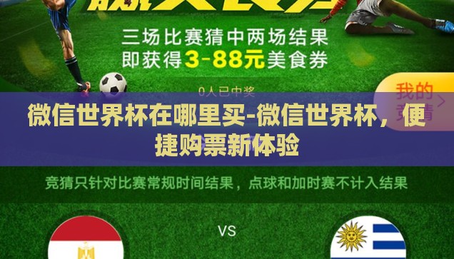 微信世界杯在哪里买-微信世界杯，便捷购票新体验