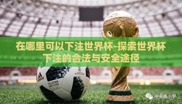 在哪里可以下注世界杯-探索世界杯下注的合法与安全途径