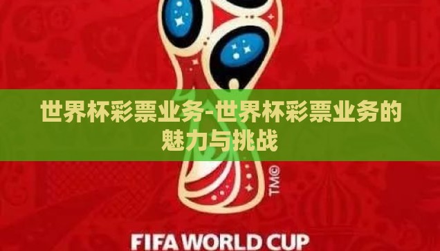 世界杯彩票业务-世界杯彩票业务的魅力与挑战