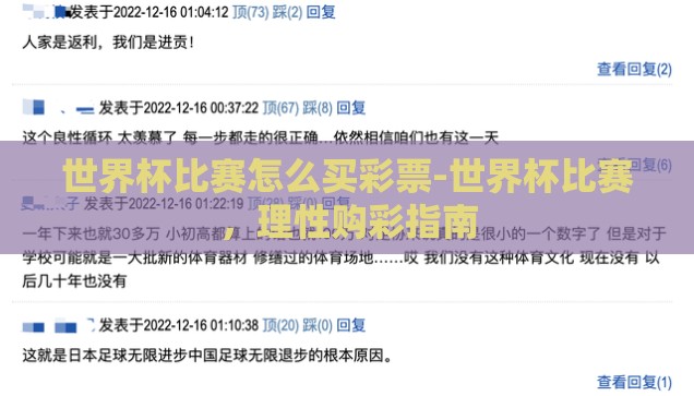 世界杯彩票中奖结果-世界杯彩票，梦想与现实的碰撞
