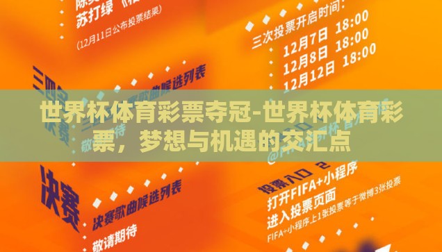 世界杯彩票中奖结果-世界杯彩票，梦想与现实的碰撞