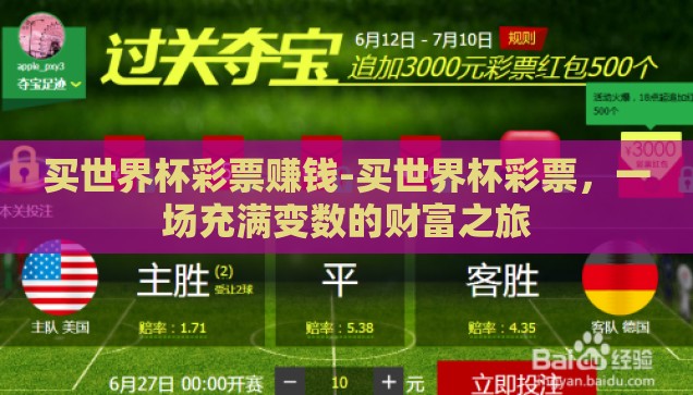 买世界杯彩票赚钱-买世界杯彩票，一场充满变数的财富之旅