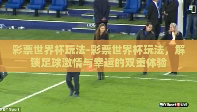 彩票世界杯玩法-彩票世界杯玩法，解锁足球激情与幸运的双重体验