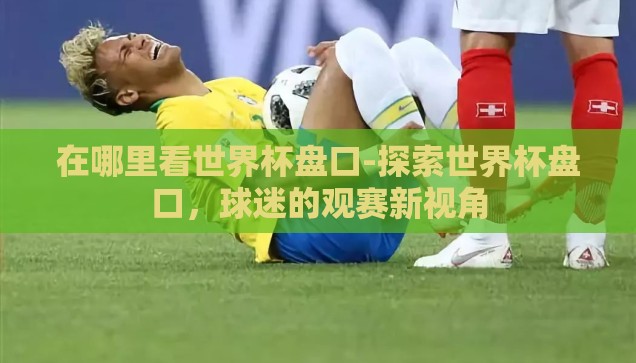 支付宝买世界杯彩票吗-支付宝与世界杯彩票，便捷与风险并存的数字娱乐新选择