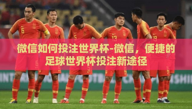 微信可以买世界杯吗-微信购彩世界杯，便捷与风险并存的新选择