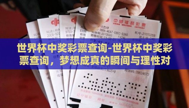 世界杯中奖彩票查询-世界杯中奖彩票查询，梦想成真的瞬间与理性对待的智慧