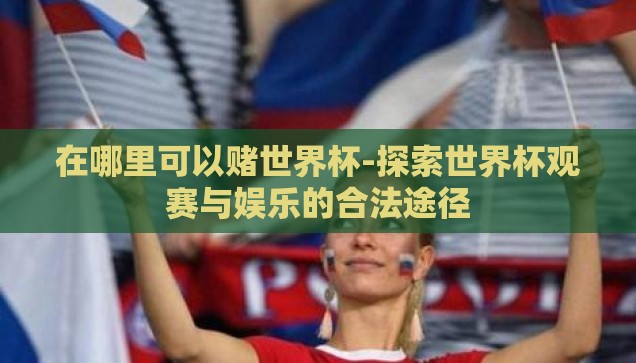 在哪里可以赌世界杯-探索世界杯观赛与娱乐的合法途径