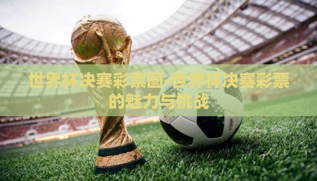 世界杯决赛彩票图-世界杯决赛彩票的魅力与挑战