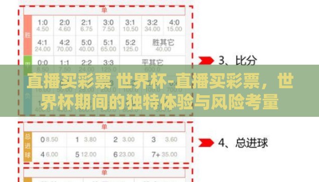 直播买彩票 世界杯-直播买彩票，世界杯期间的独特体验与风险考量