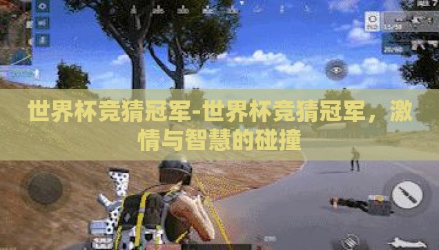 直播买彩票 世界杯-直播买彩票，世界杯期间的独特体验与风险考量