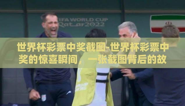 直播买彩票 世界杯-直播买彩票，世界杯期间的独特体验与风险考量