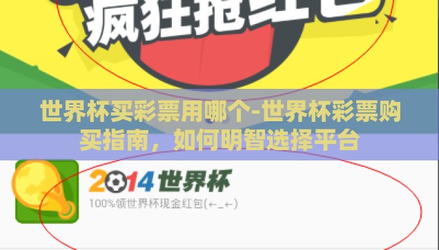 世界杯网易彩票投注-世界杯激情与网易彩票，理性投注的乐趣
