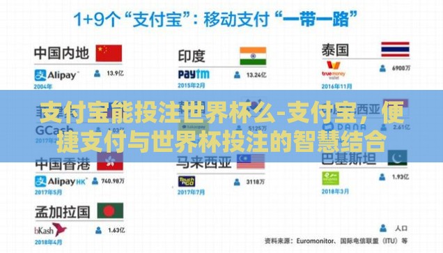支付宝能投注世界杯么-支付宝，便捷支付与世界杯投注的智慧结合