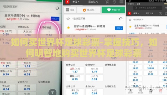 如何买世界杯足球彩票-掌握技巧，如何明智地购买世界杯足球彩票