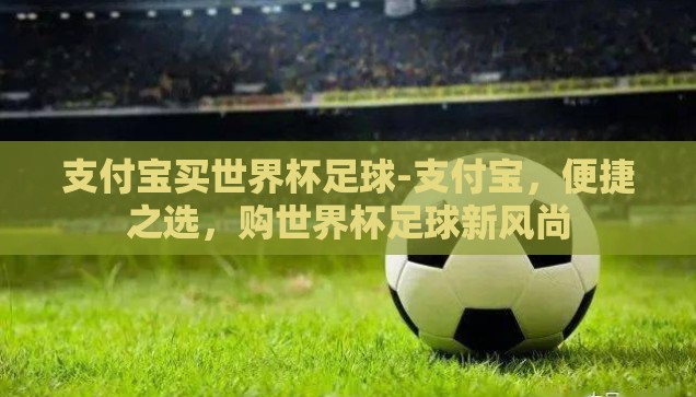 支付宝买世界杯足球-支付宝，便捷之选，购世界杯足球新风尚