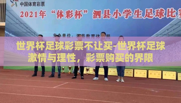 2014世界杯彩票奖金-2014年世界杯彩票奖金，一场全球狂欢的金融盛宴